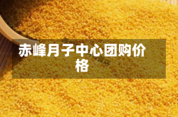 赤峰月子中心团购价格
