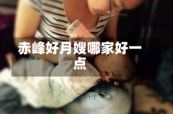 赤峰好月嫂哪家好一点