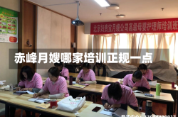 赤峰月嫂哪家培训正规一点