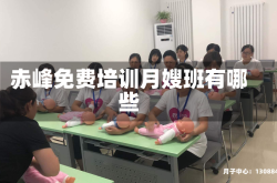 赤峰免费培训月嫂班有哪些