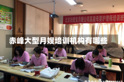 赤峰大型月嫂培训机构有哪些