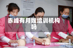 赤峰有月嫂培训机构吗