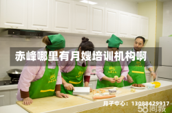 赤峰哪里有月嫂培训机构啊