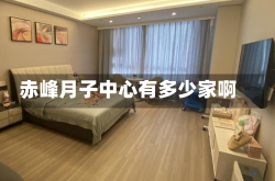 赤峰月子中心有多少家啊