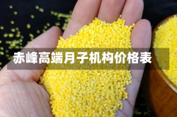 赤峰高端月子机构价格表