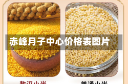 赤峰月子中心价格表图片