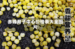 赤峰月子中心价格表大全图片