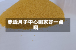 赤峰月子中心哪家好一点啊