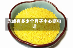 赤峰有多少个月子中心啊电话