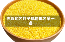 赤峰知名月子机构排名第一名