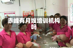 赤峰有月嫂培训机构吗