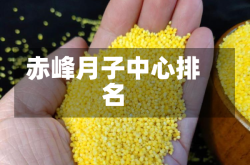 赤峰月子中心排名