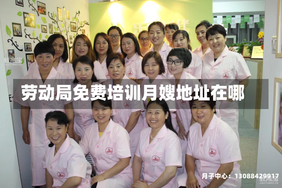 劳动局免费培训月嫂地址在哪
