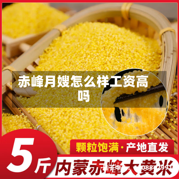 赤峰月嫂怎么样工资高吗
