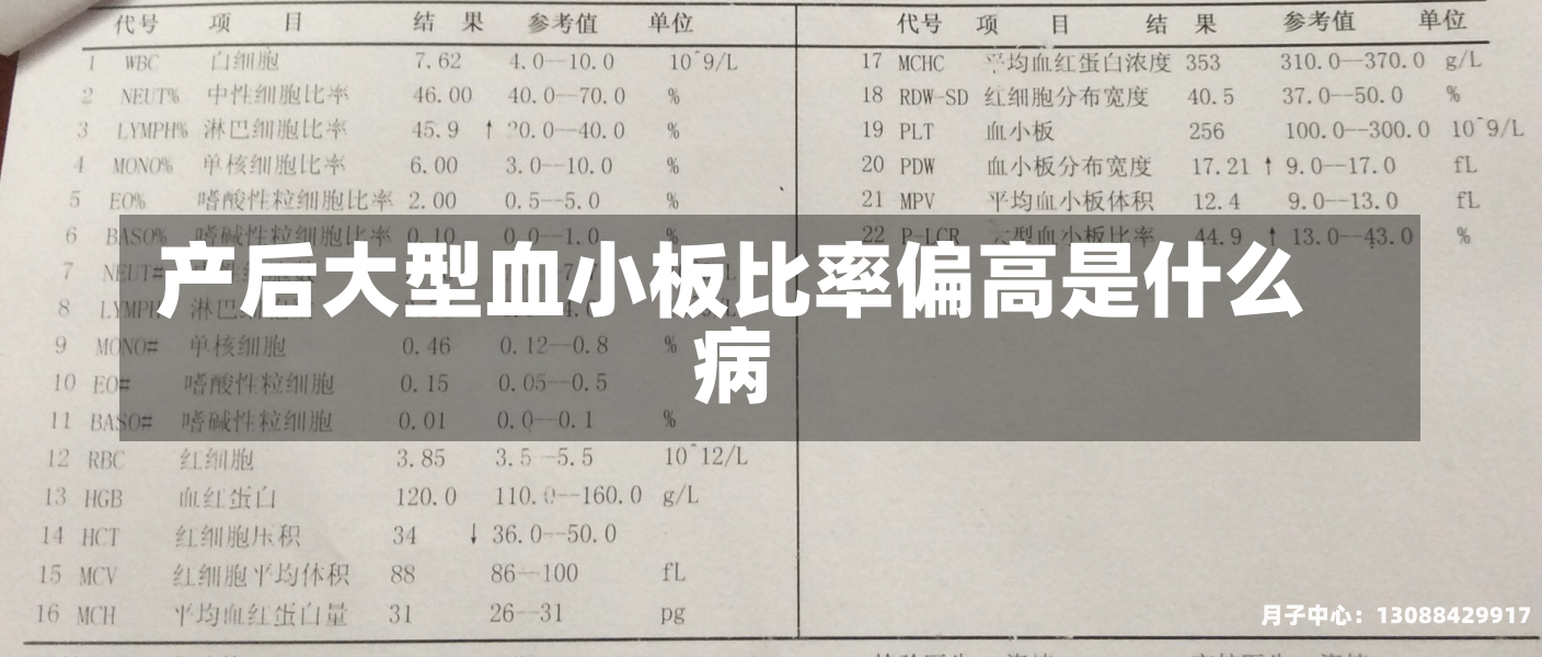 产后大型血小板比率偏高是什么病