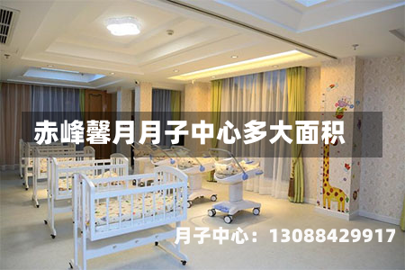 赤峰馨月月子中心多大面积