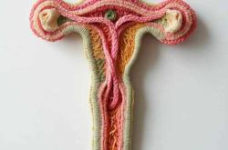 人流后多久能戴环备孕