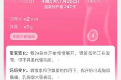 为什么孕反会反复