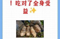 备孕能吃三七天麻吗