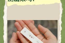 怀孕几天能测出来男女