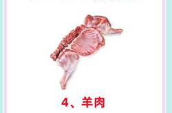 备孕男性可以吃生蚝吗