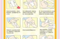 怎么给鹦鹉穿尿不湿