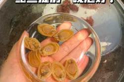 月子能喝鲍鱼汤吗有何讲究