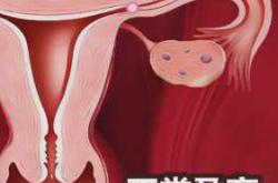 34岁备孕二胎成功了吗
