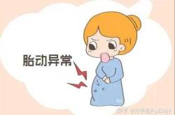 孕反太小动漫有啥看点