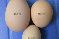 备孕男人梦到蛇生蛋啥寓意