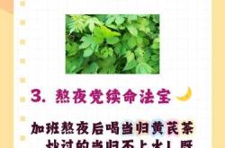 产后调理气血中药配方有哪些