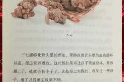 怀孕能喝三七汤吗