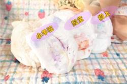 小羊驼拉拉裤有啥特别之处