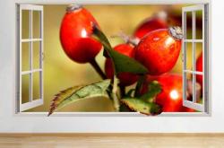 婴儿托儿怎么选