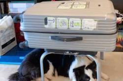 水城待产包怎么准备