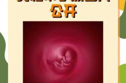 备孕最重要的原因是啥