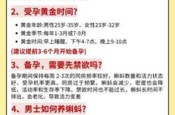 备孕每天要做啥准备