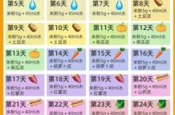 糊状辅食如何制作