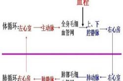 顺产后为何会出现血栓