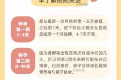 毫无孕反正常吗