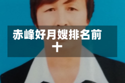 赤峰好月嫂排名前十