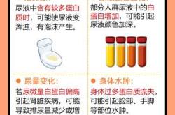 男性备孕需吃蛋白粉吗