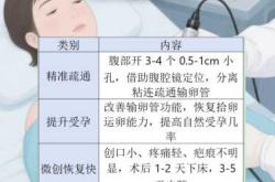 腹腔镜手术后多久能备孕