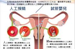 产后怀孕的机率究竟有多大