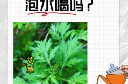 坐月子能用艾草洗澡吗