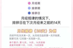 备孕后几天月经为何停后再来