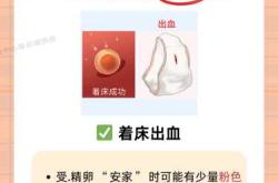 验血能检测出怀孕吗