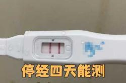 怀孕几天测血可以测出来