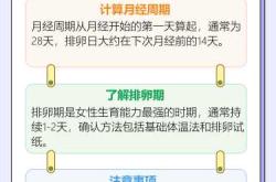 为什么备孕期间没有排卵期