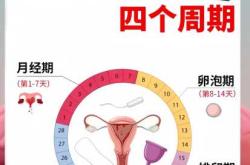 产后八十天来月经正常吗